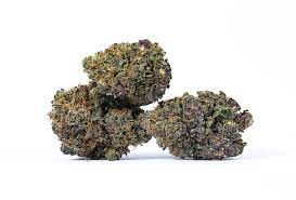 LCG X PERMANENT MARKER (HYBRID)